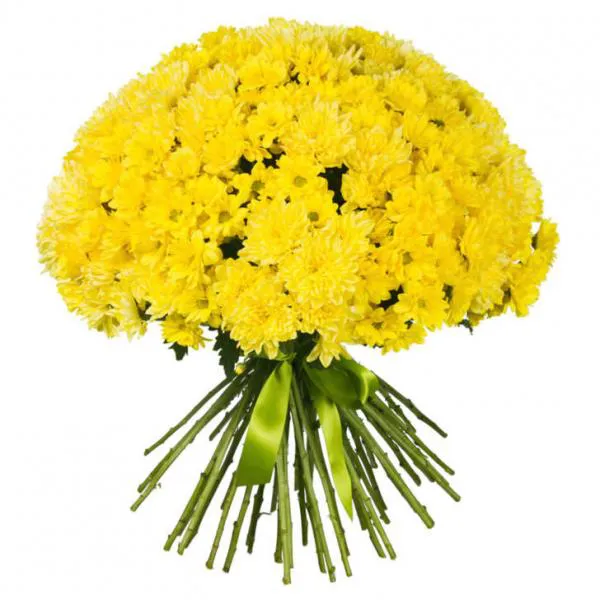 Букет желтых кустовых хризантем Солнечная мечта