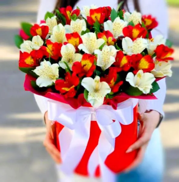 Букет из белых и красных альстромерий в коробке Игра контрастов