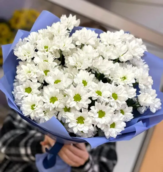 Букет белых хризантем Ромашка в небе