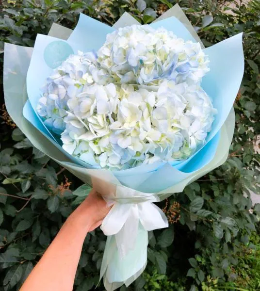 Букет из гортензий Очарование небес