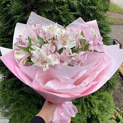 Букет из 5 нежно-розовых альстромерий