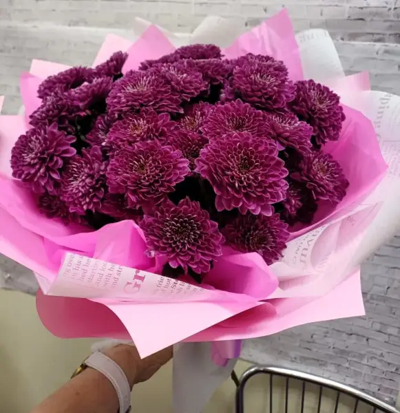 Букет из бордовых кустовых хризантем Гранат