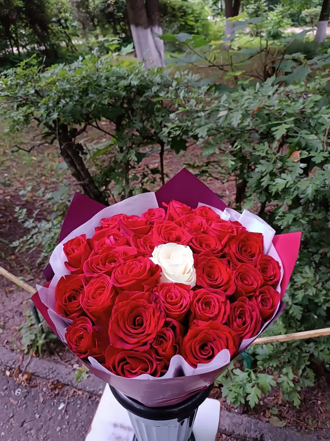 Букет красных и белой розы Моя единственная