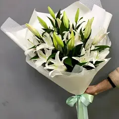 Всегда в моих мыслях