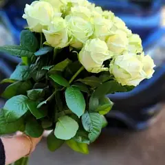Букет из 21 белой розы