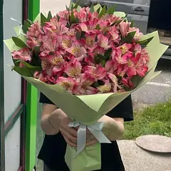 Полный бабочек живот