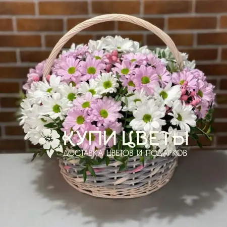 Корзина из розовых и белых хризантем Королевский Шарм