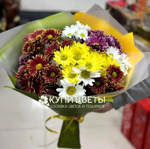 Букет из желтых, белых и бордовых хризантем Яркие мысли