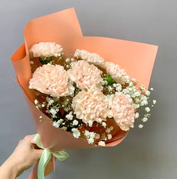 Букет из гвоздик и гипсофилы Романтика в воздухе