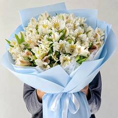 25 белых альстромерий