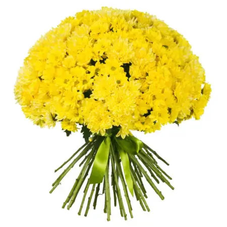 Букет желтых кустовых хризантем Солнечная мечта