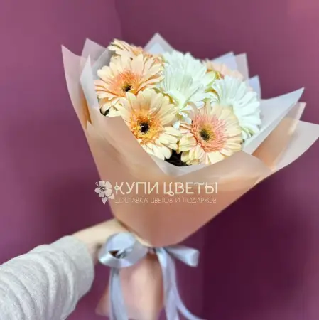 Букет из персиковых и белых гербер Букет дневного света