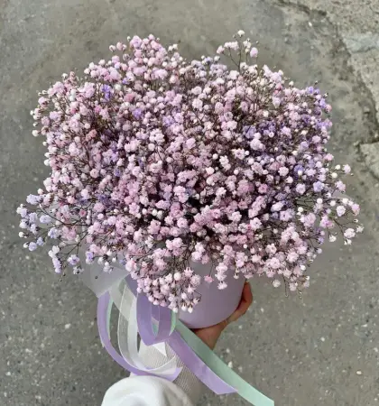 Букет из розовой гипсофилы в коробке Красота момента