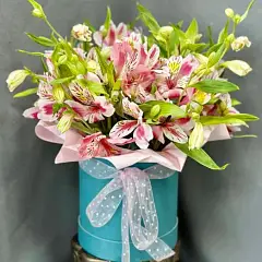 Мир в розовом цвете
