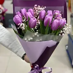 Лавандовые грёзы