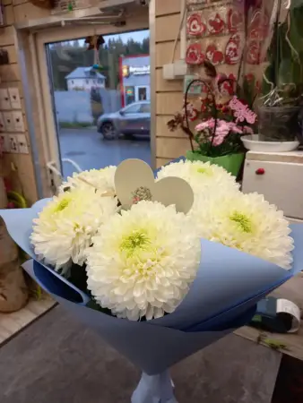 Букет белых хризантем Пломбир