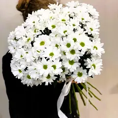 Ромашковая радость