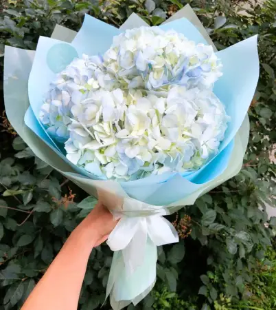 Букет из гортензий Очарование небес