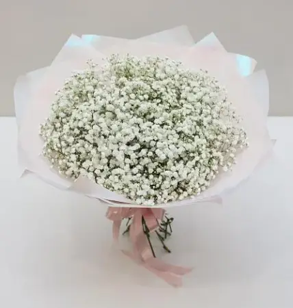Букет из белой гипсофилы Белый снежок