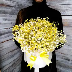 Солнечная