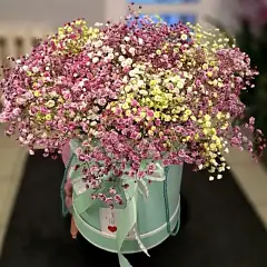 Элегантные моменты