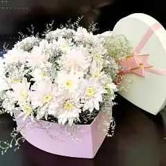 Мое сердце тебе