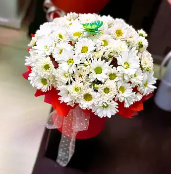 Композиция из белых хризантем в коробке Снежная сказка