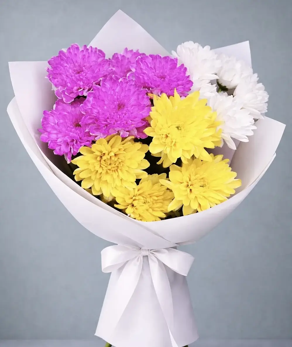 Палитра на белом