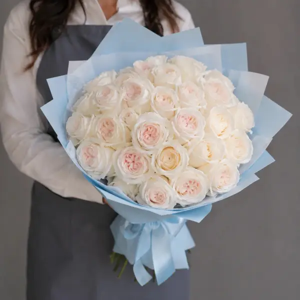 Лунное облако