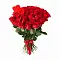 Просто розы