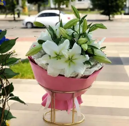 Три белых желания