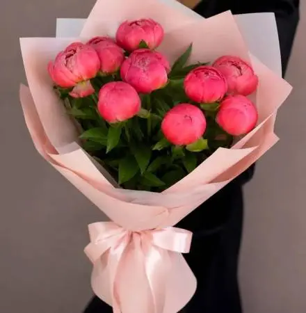 Коралловый закат