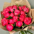 Коралловые пионы
