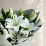 Дыхание весны